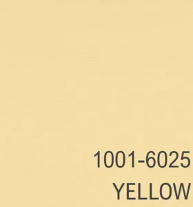 1001-6025 YELLOW