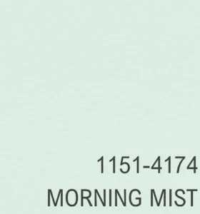 1151-4174 MORNING MIST