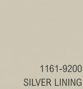 1161-9200 SILVER LINING